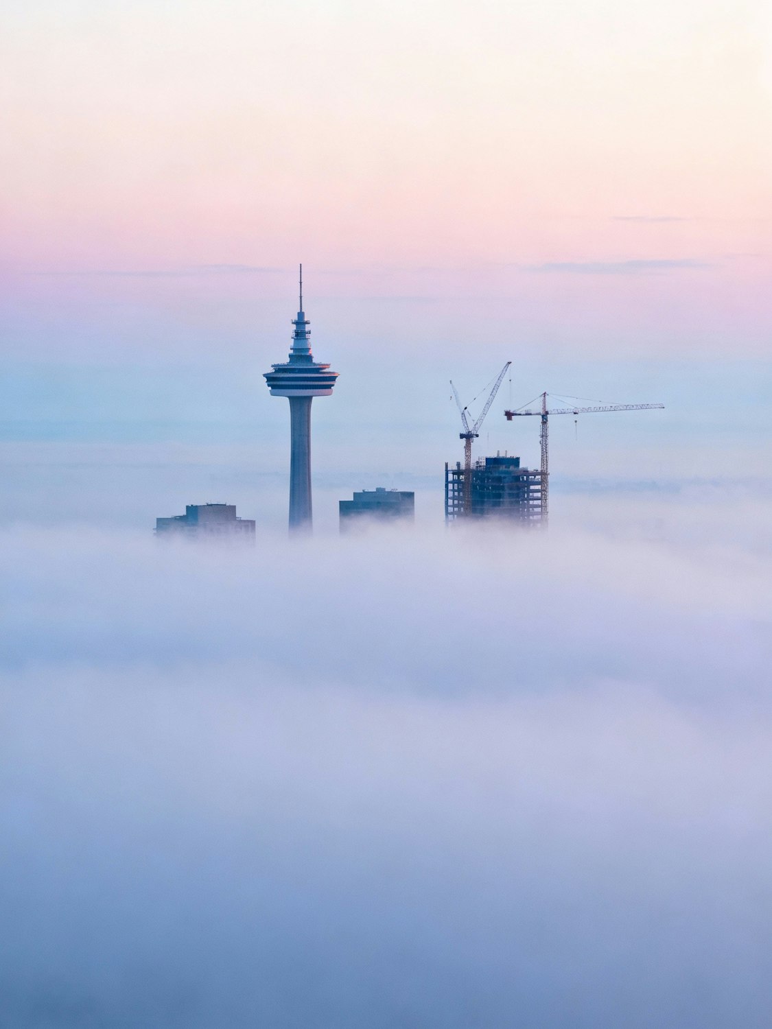 Tower cranes above a high-rise frame under construction at dawn